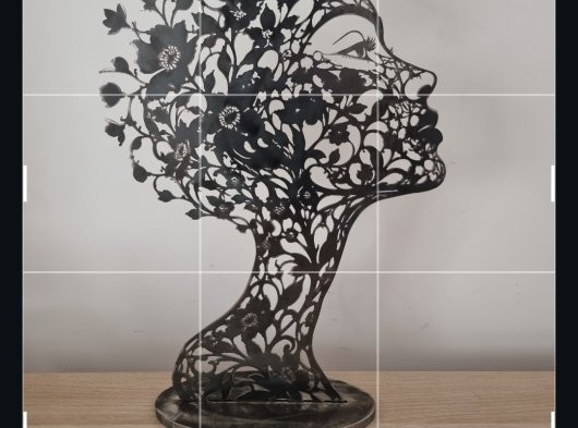 Metal sculpture Iron 2 mm thick, 60 cm high × 38 cm wide.